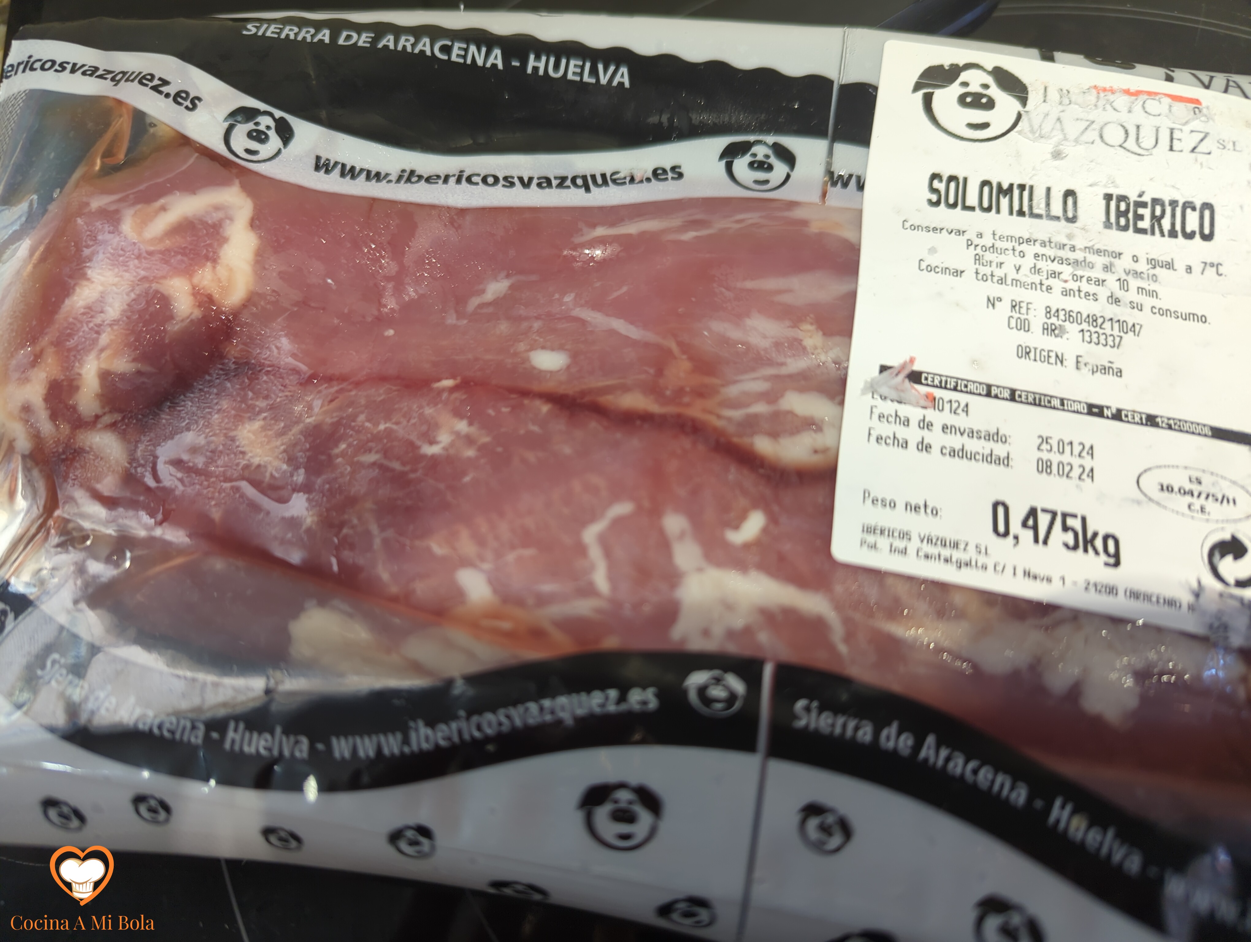 Los nueve libros de la Historia (1 de 2) | Project Gutenberg, image size:4080x3072